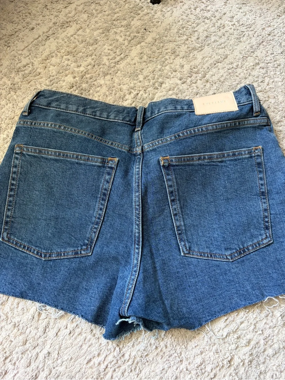 Everlane The Cheeky Short Denim Shorts